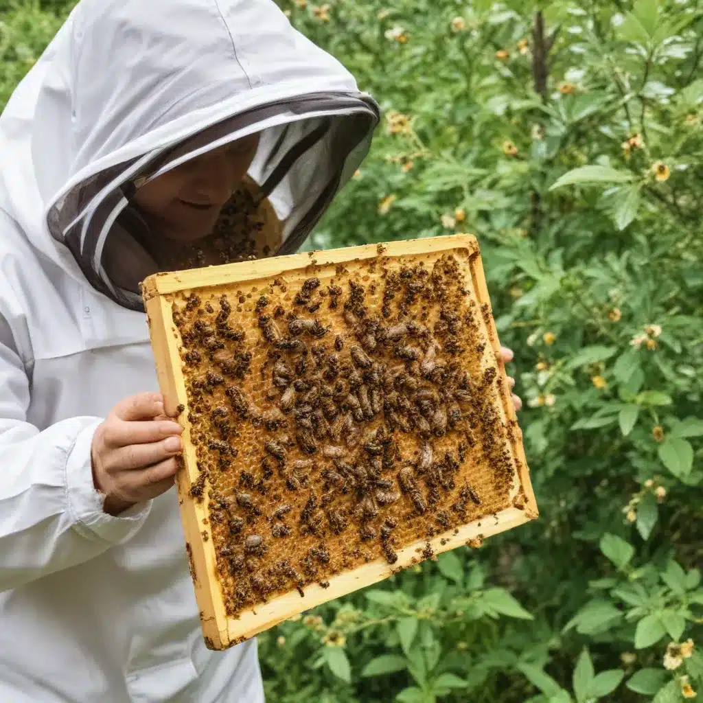 Beekeeping, European and national funding – FoodTimes